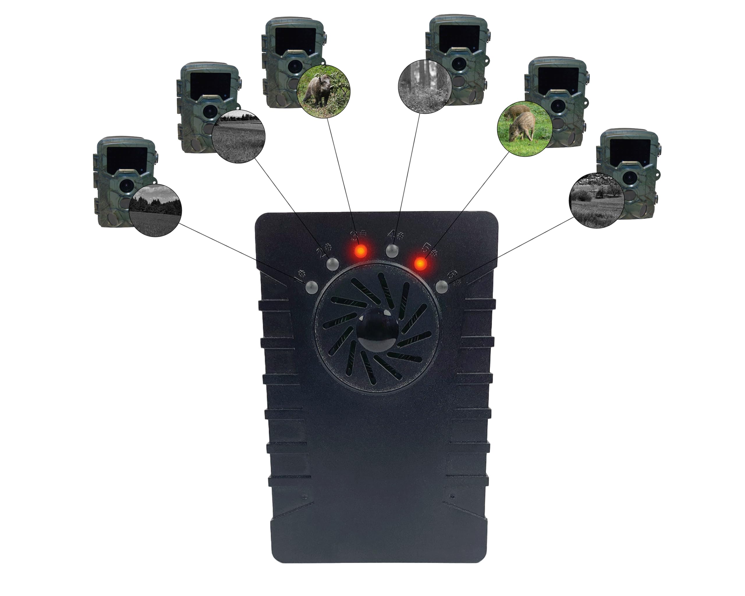Berger & Schröter Wildkamera 4K, 256 GB, 32 MP, 940nm Black-LEDs, 0,3s Auslösegeschwindigkeit, Passwortschutz, Melder für Empfänger
