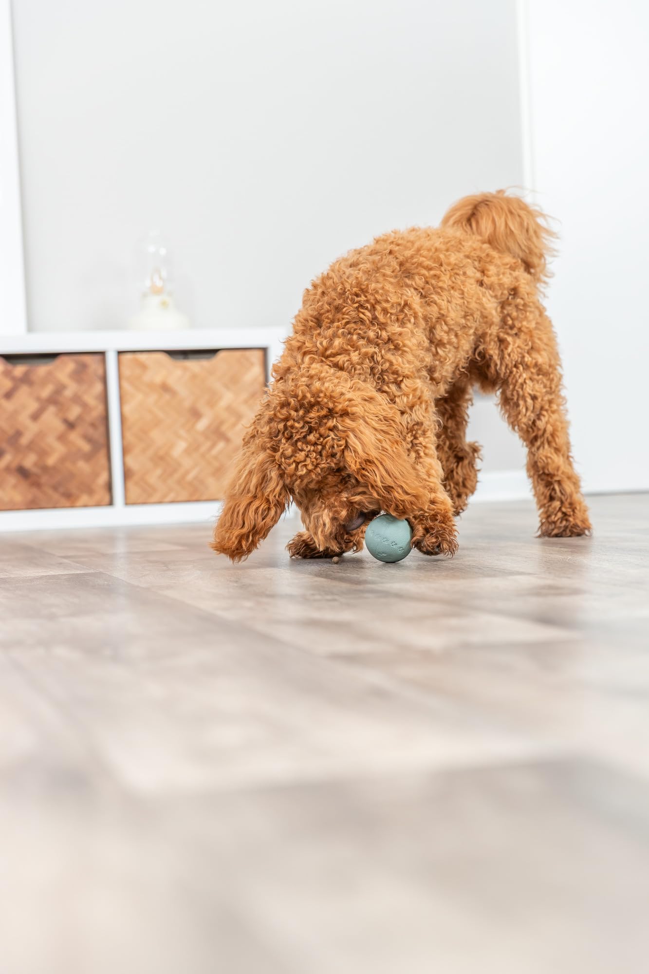 Trixie Activité Balle à friandises en caoutchouc naturel pour chien - Coloris aléatoire