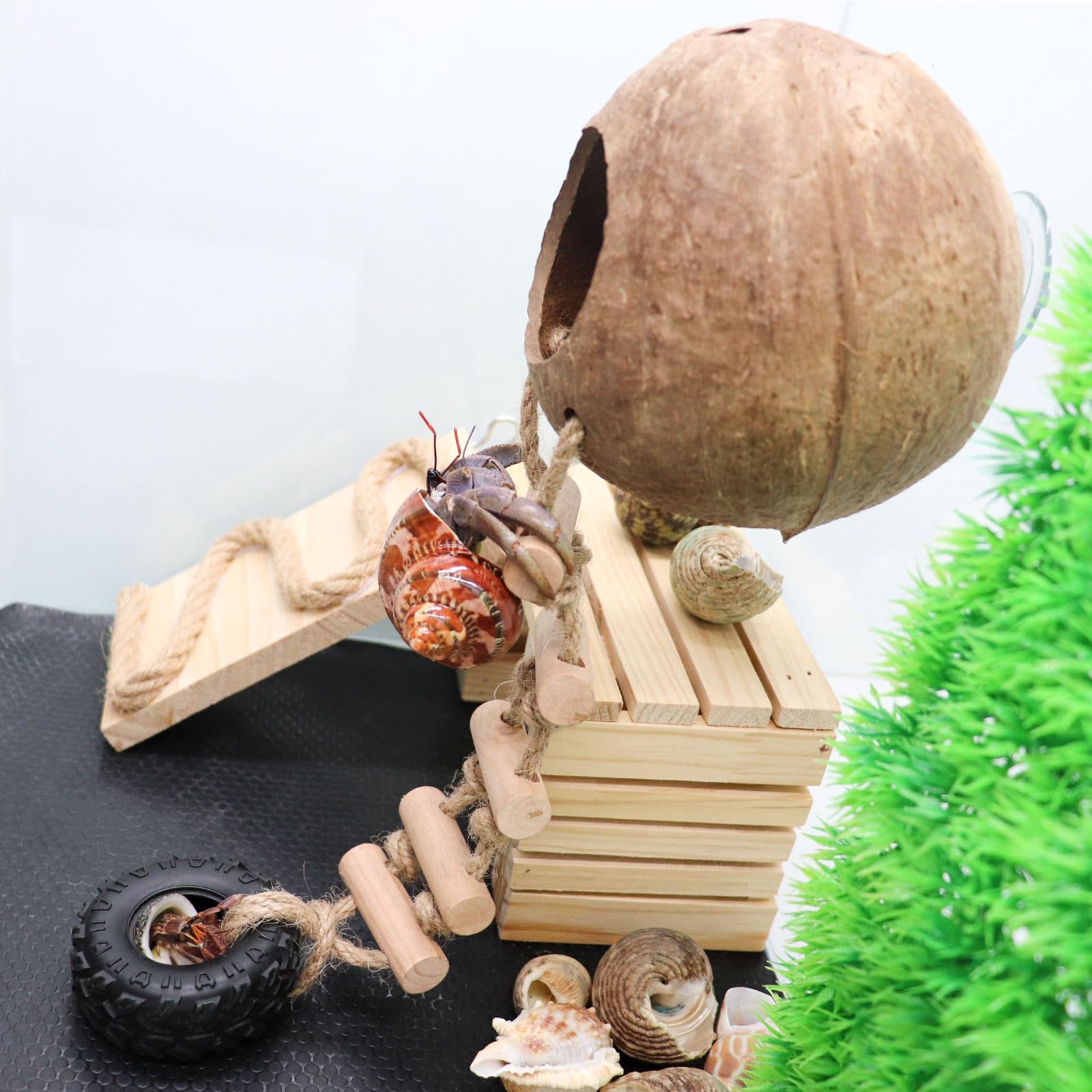 Juguete de escalada de cangrejo ermitaño, escondite de reptiles de coco natural con escalera, casa de reptiles de coco colgante, accesorios de hábitat de jaula o cueva de tanque, adecuado para gecko