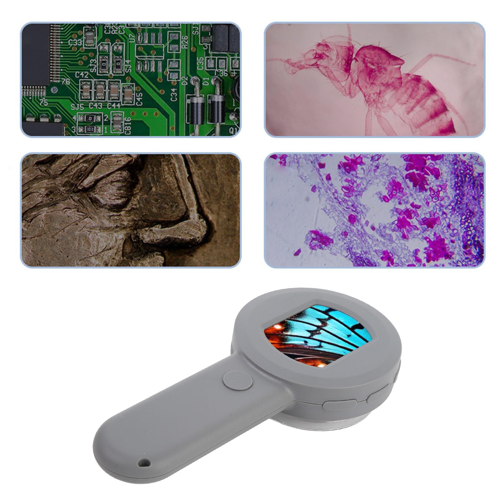 Generic Lente D'ingrandimento per Monete Portatile Illuminata 100X per Gioiellieri con Lente D'ingrandimento per Tricomi con Schermo LCD da 2" per Adulti Microscopio Digitale Portatile per Hobbisti