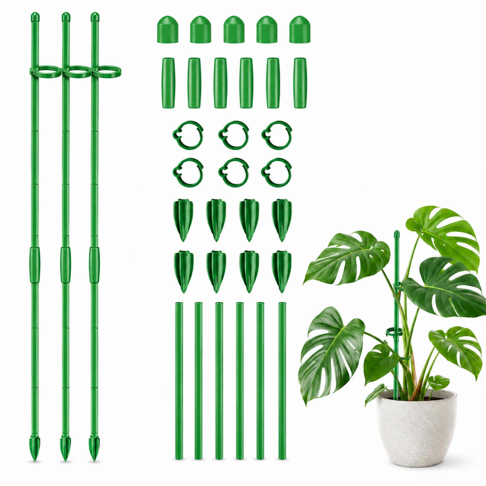 6 sztuk podpórki do roślin 30 cm, Regulowany uchwyt do roślin pnących z klipsami, Podpora do roślin dla Monstera, Orchidei, Pomidorów, Róż i innych kwiatów (zielone)