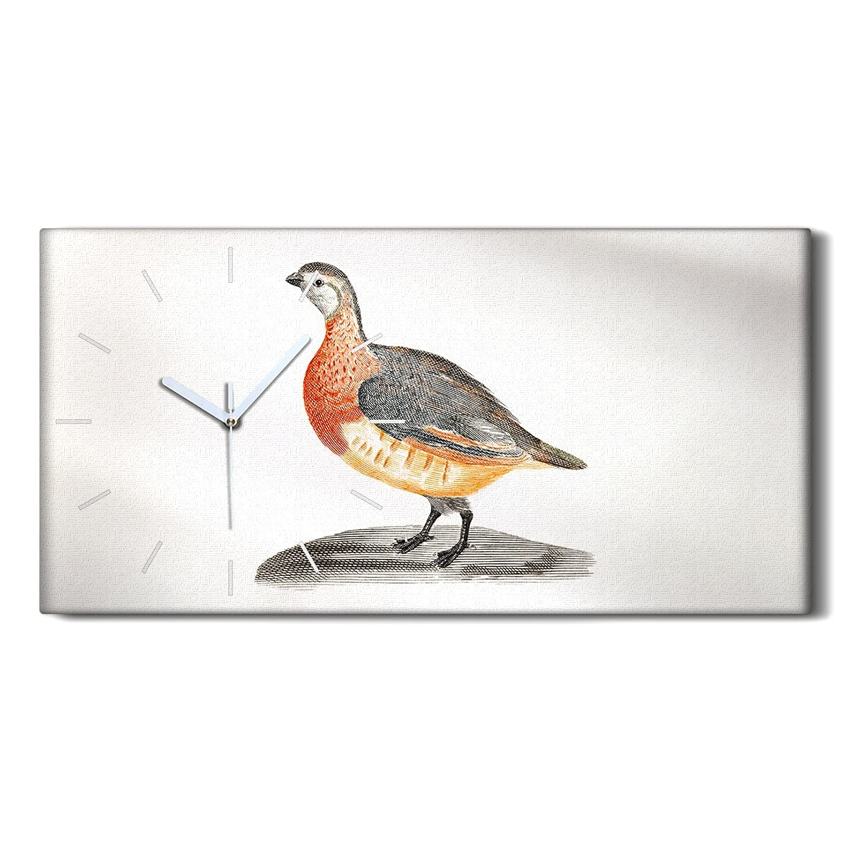 Horloge ne pas tic tac en silence pour salon moderne toile oiseaux