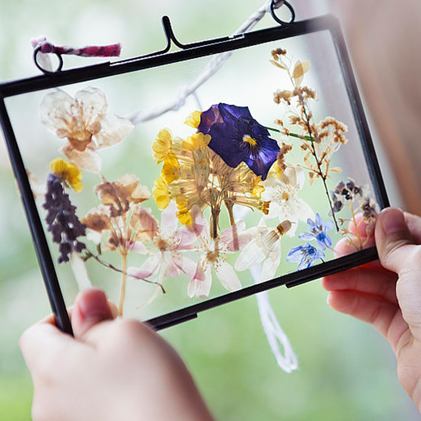 Fiori Secchi Decorativi - Crisantemi Stabilizzati, 100g, Per Bomboniere Matrimonio, DIY E Decorazione Casa