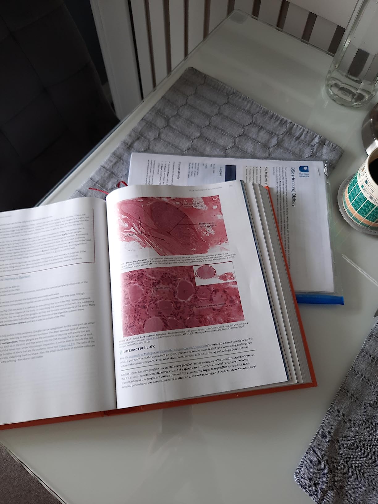 Buy Anatomy and Physiology 2e by OpenStax (Official Print Version ...
