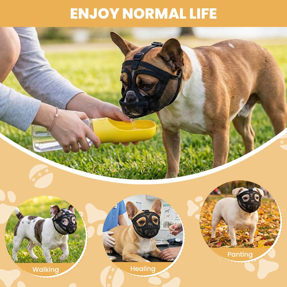 AUAUY Museruola per Cane, Museruola Resistente per Cani, Mascherina in Rete Traspirante, Prevenire i Morsi alla Corteccia, Museruolas per Shih Tzu e Bulldog inglesi, Acqua e Cibo Consentiti (Nero, S)