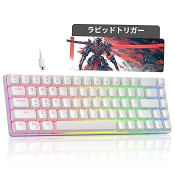 ラピッドトリガー　レバーレス　Rapidbox キースイッチ改造済み ZENAIM、ラピッドトリガー搭載レバーレスアケコン発表