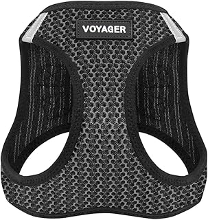 Best Voyager Step-in Air Dog Harness - All Weather Mesh, Step in Vest Harness by Best Pet Supplies Reviews