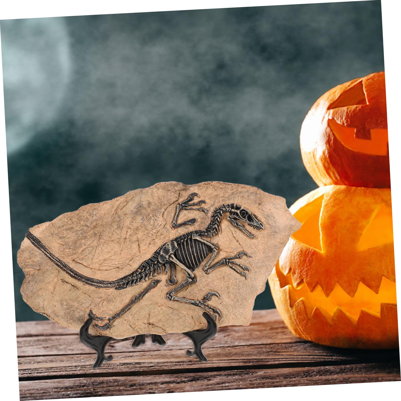 YARNOW Riproduzione di Fossile di Dinosauro da Scrivania in Resina, Decorazione Simulativa Educativa per Festa e Compleanno, Set Unico per Arricchire la Conoscenza dei Ragazzo Ragazza