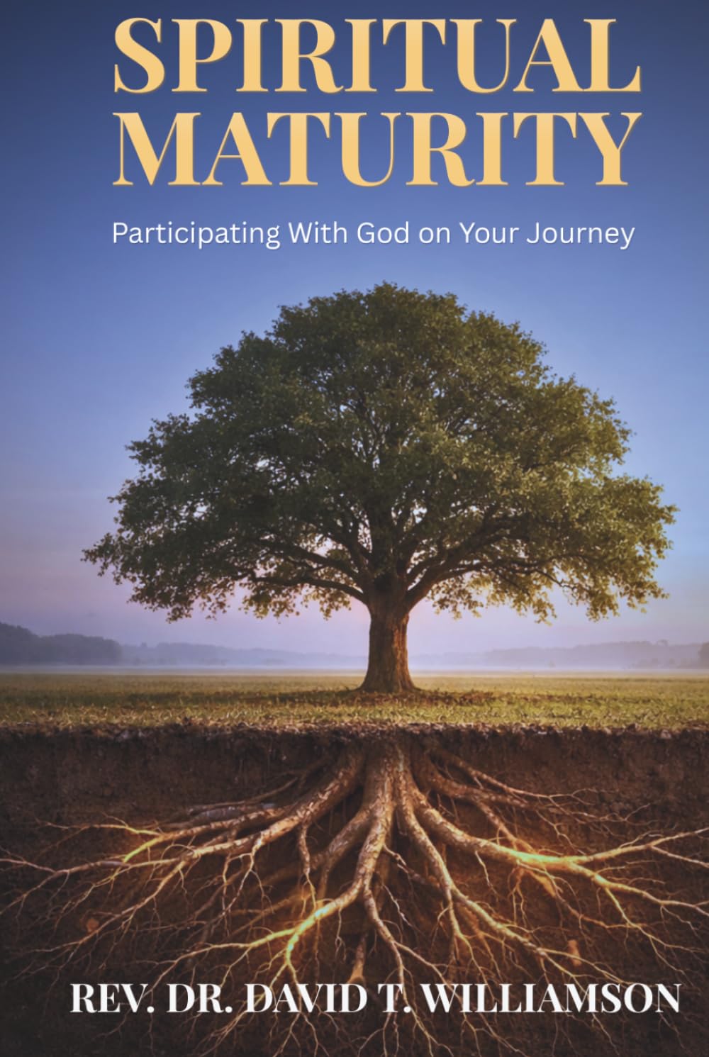 Spiritual Maturity: Participating with God on Your Journey