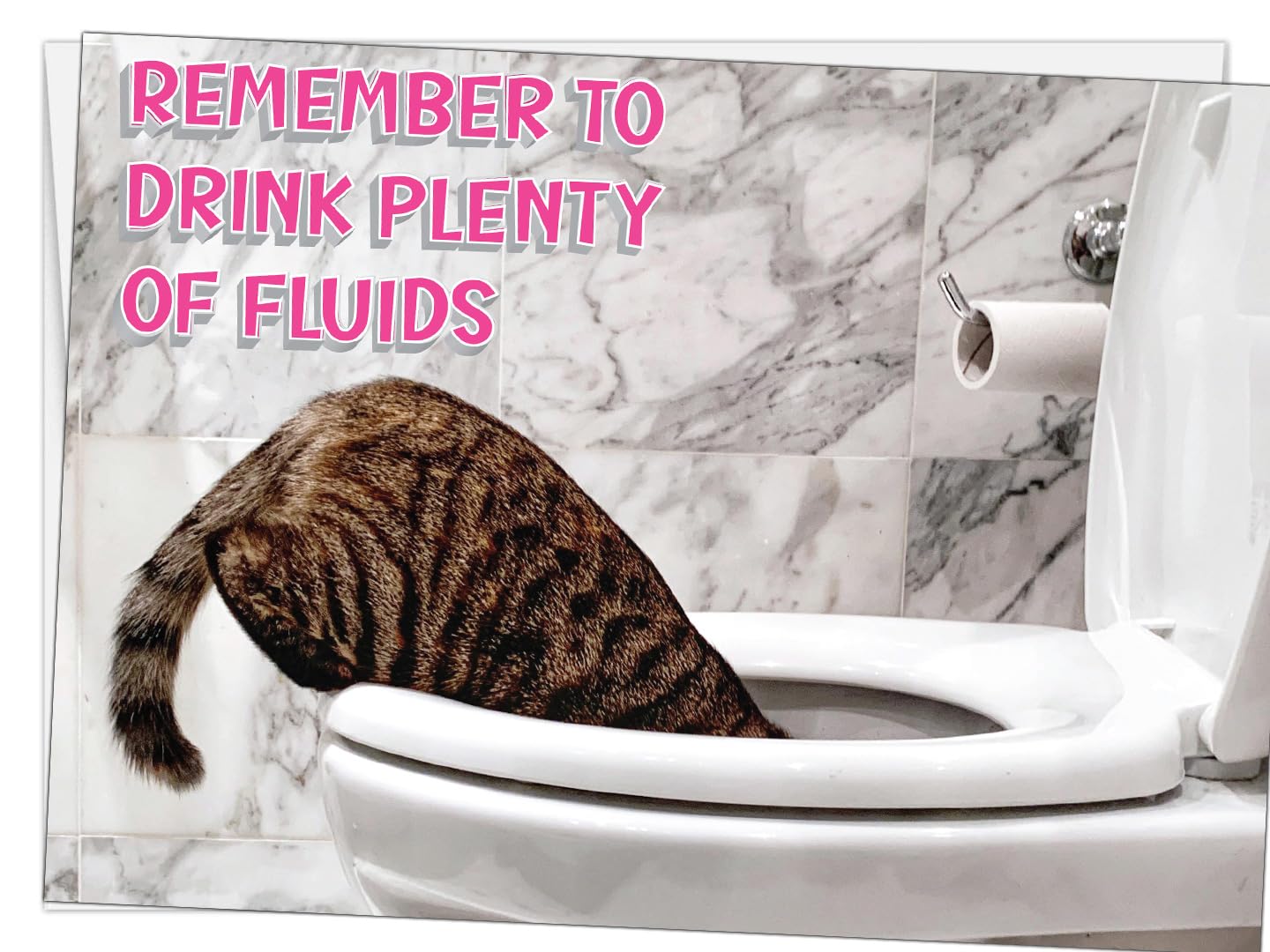 Glory To Dog Remember to Drink Plenty of Fluids (Cat Version) and Get Lots of Rest! Get Well Soon! Card with Greeting Card Envelope