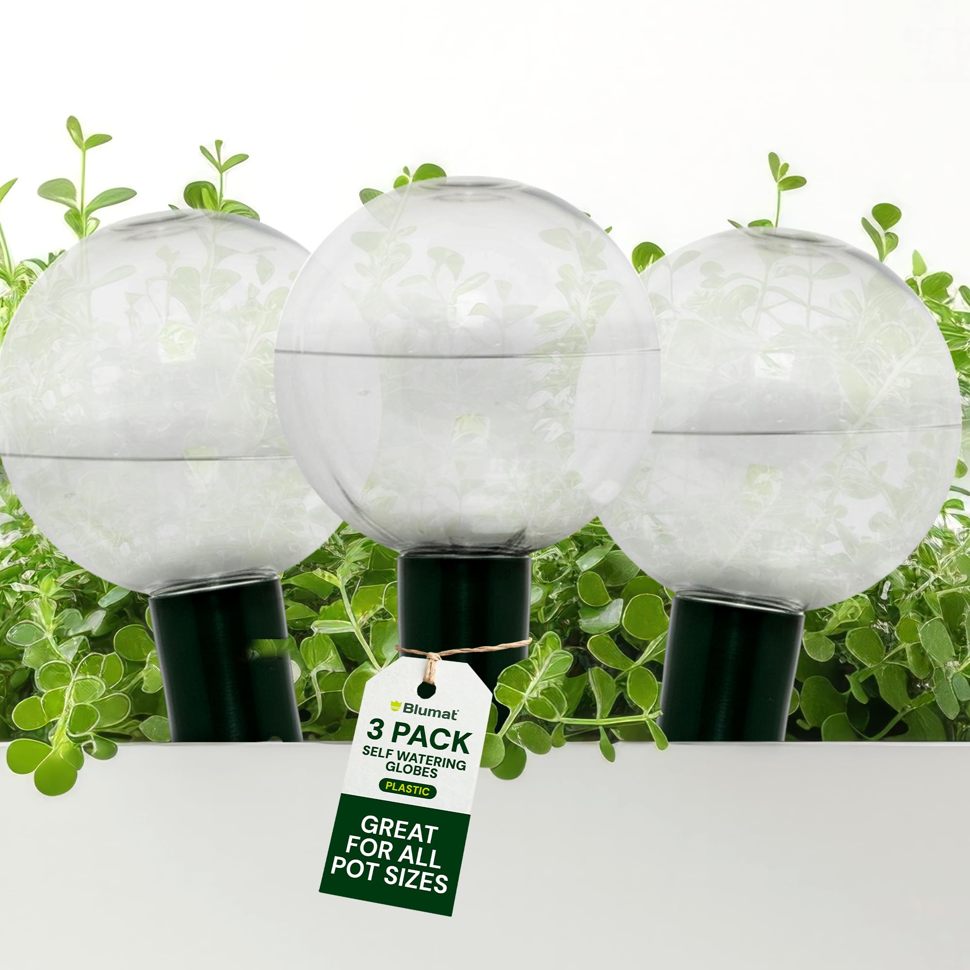 Globes Blumat transparents : l'esprit libre pendant vos vacances sans plantes fanées