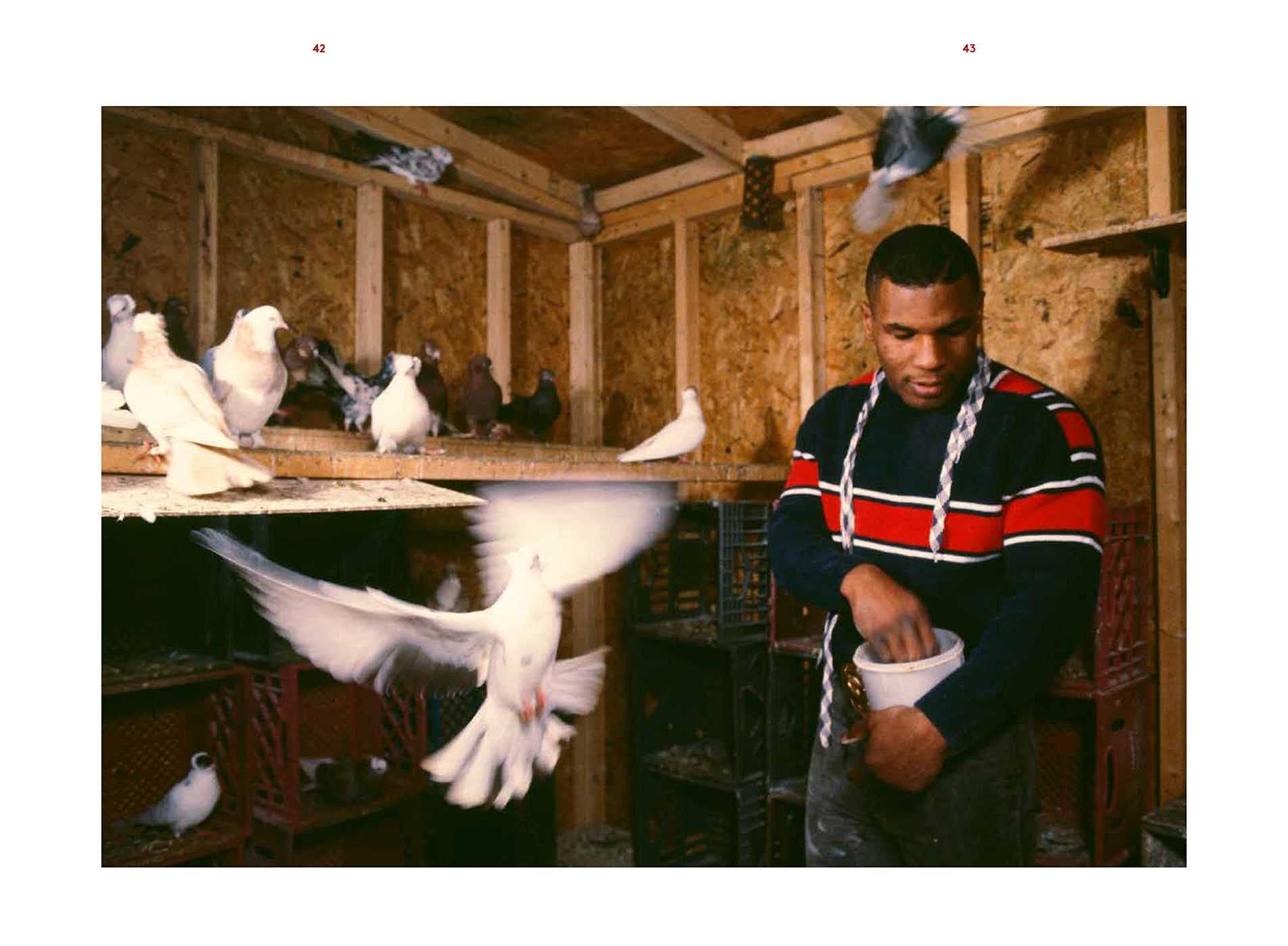 Mike Tyson: 1981-1991