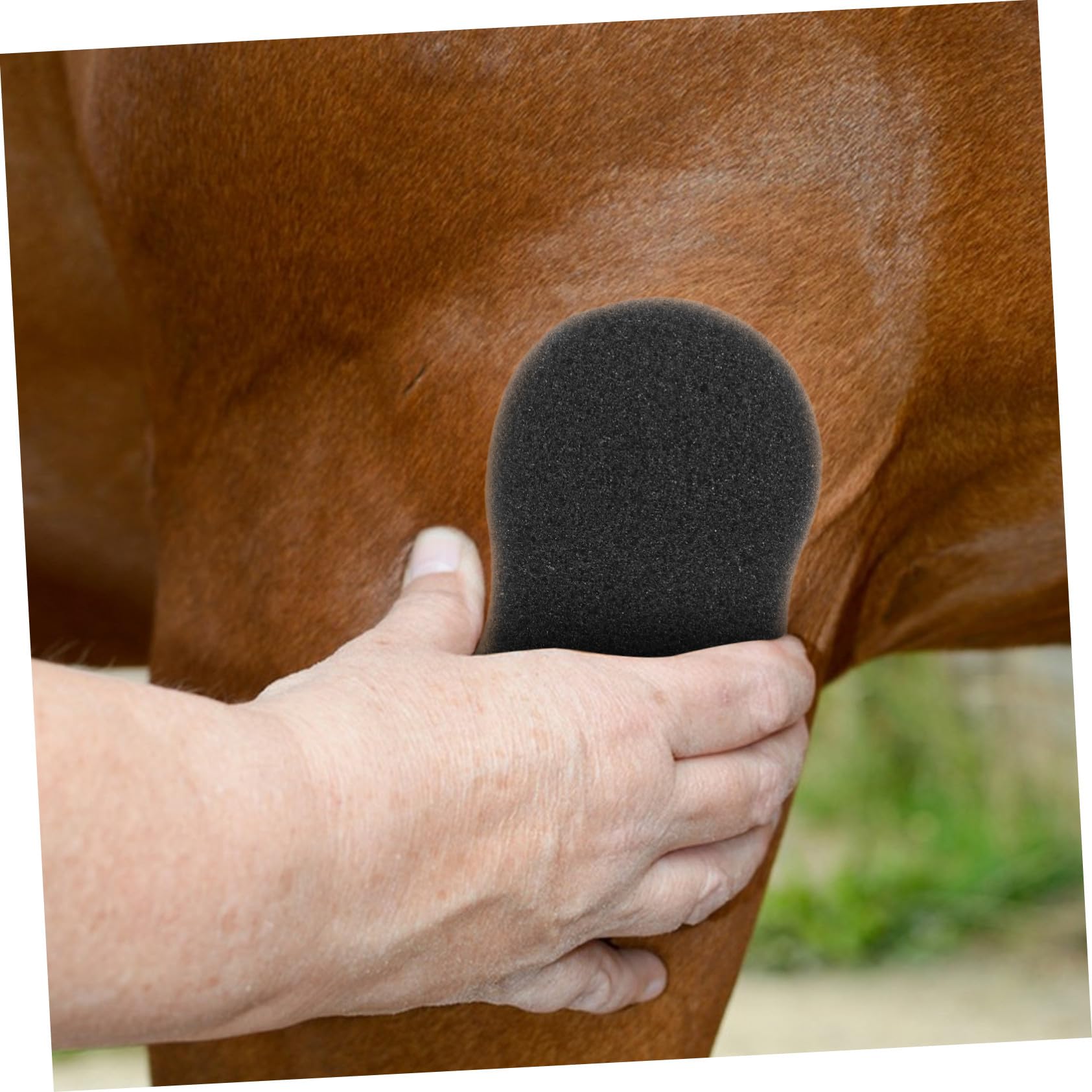 Esponjas Grandes para Limpieza de Equinos 5 Piezas 20x11 Cm, Esponja de Limpieza para Mascotas, Accesorios de Aseo para Caballos, Herramienta de Baño para Cuidado del Pelaje