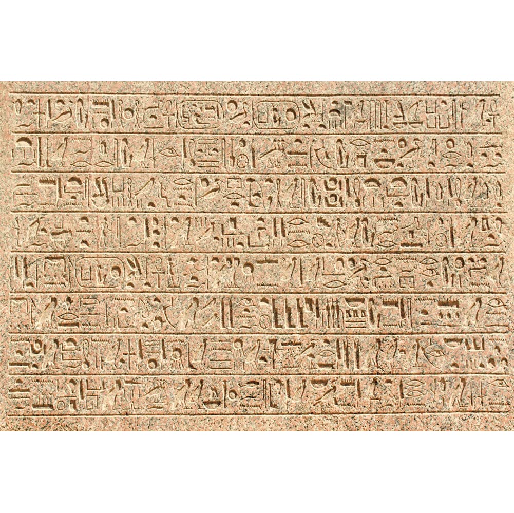 Amazon.co.jp: CORFOTO 15x8フィート ファブリック 寺院 入り口 洞窟 背景 頭蓋骨 僧侶像 燃える松明の背景 怖い洞窟の装飾  ハロウィンテーマ パーティー背景 写真撮影スタジオブース小道具 : 家電＆カメラ CORFOTO 生地 8x6フィート エジプト背景テーマ 写真 古代  ..., image size:1001x999