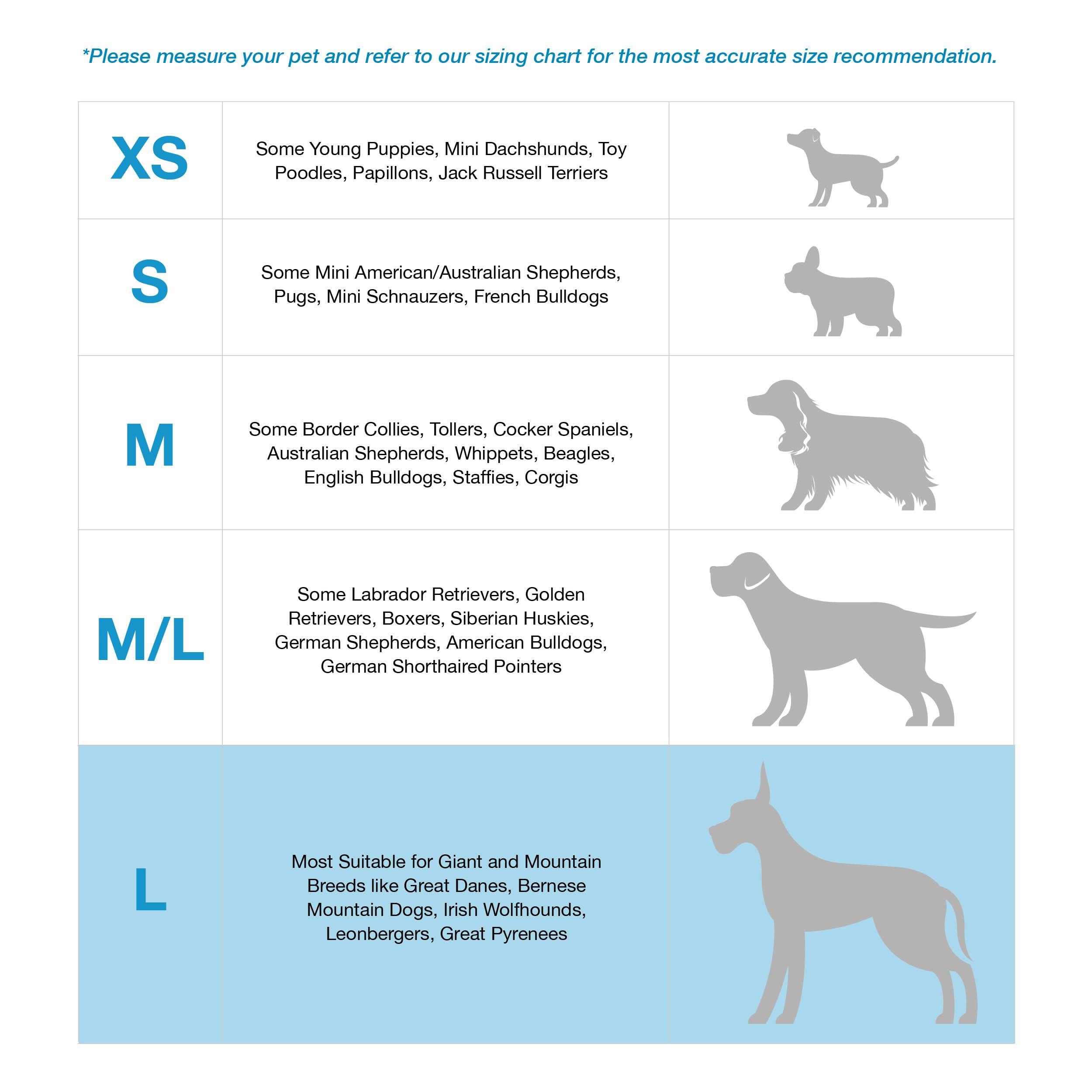 View 5
