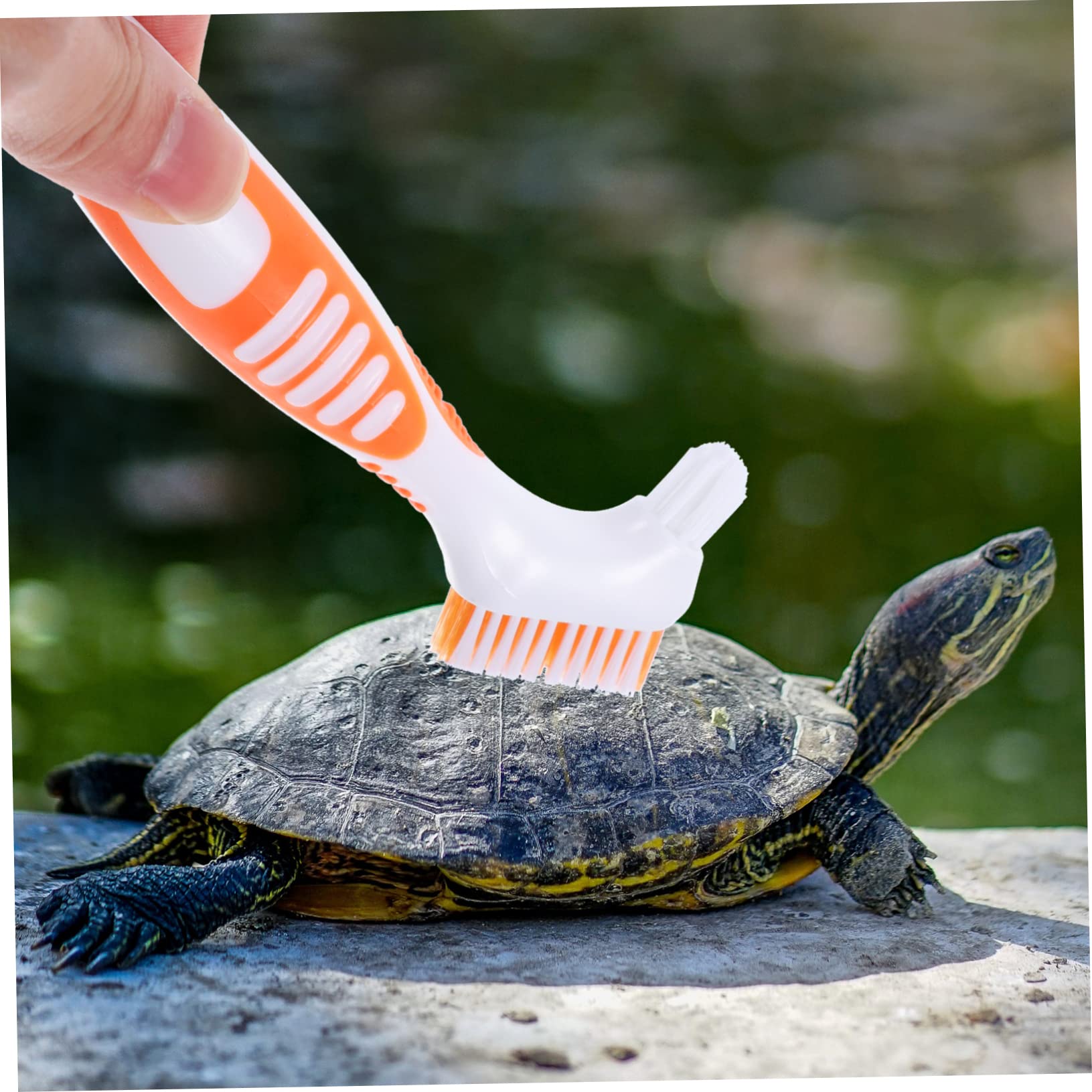 HOLIDYOYO Ergonomic Turtle Shell Brush for Tortoise Care Double-Sided Cleaning Easy to Use Portable