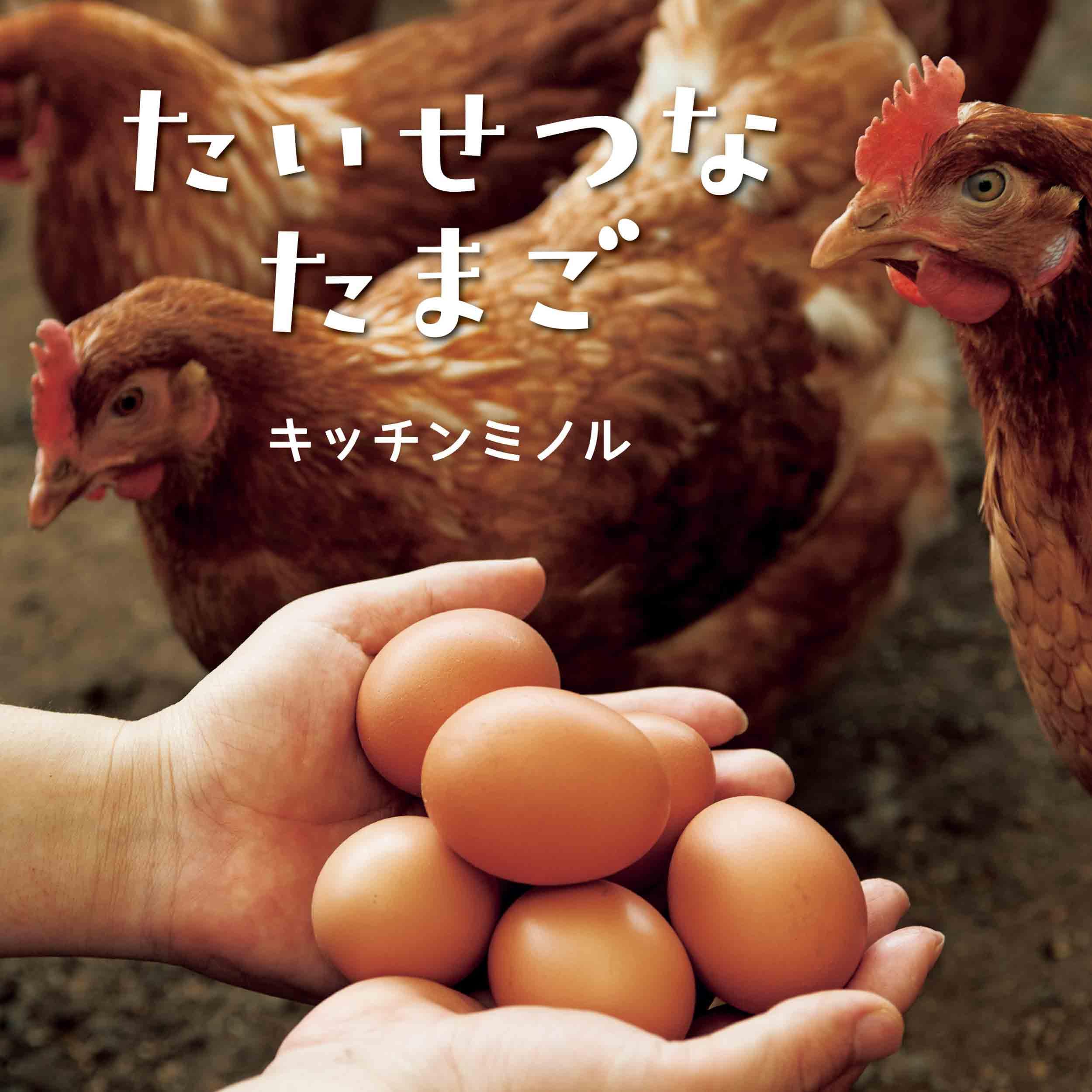 Amazon.co.jp: たいせつなたまご (コドモエのえほん) : キッチンミノル: 本