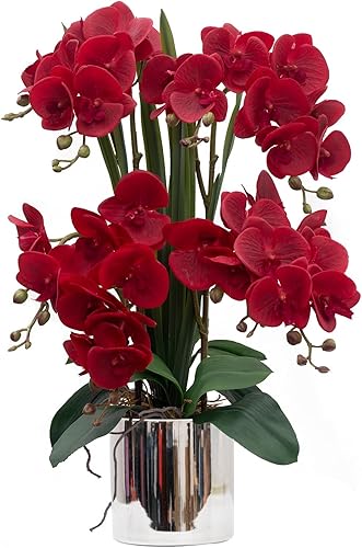 Vista 130 de CXGS Plantas artificiales de orquídeas artificiales de tacto real, orquídeas falsas en jarrón de cerámica de 20.9 pulgadas, orquídea falaenopsis