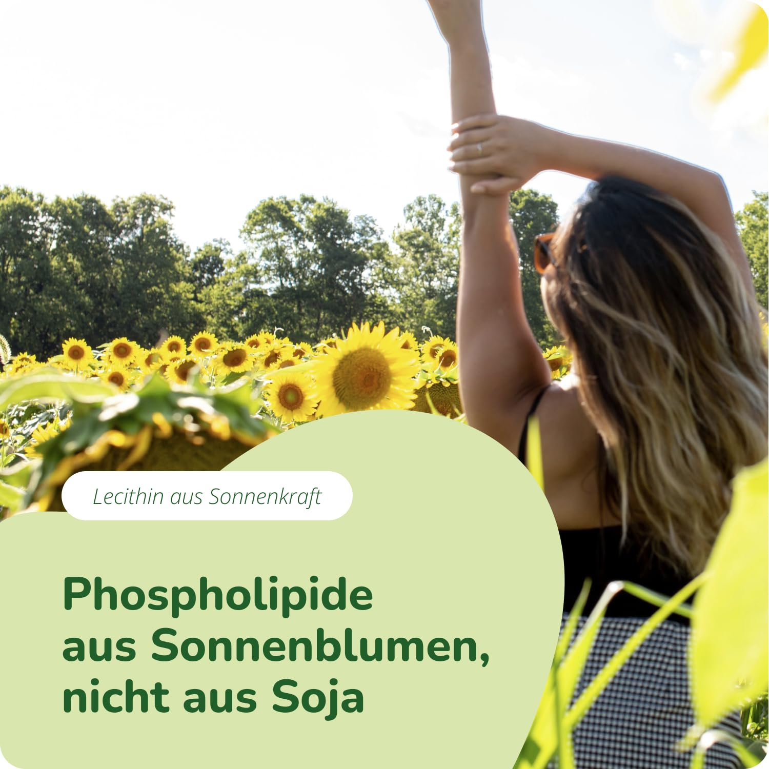 Vegavero Bio Lecithin Öl Kapseln 120 Stück - 1800 mg Sonnenblumenlecithin mit 15% Phosphatidylcholin - carrageenfrei - Lecithin Kapseln vegan & laborgeprüft