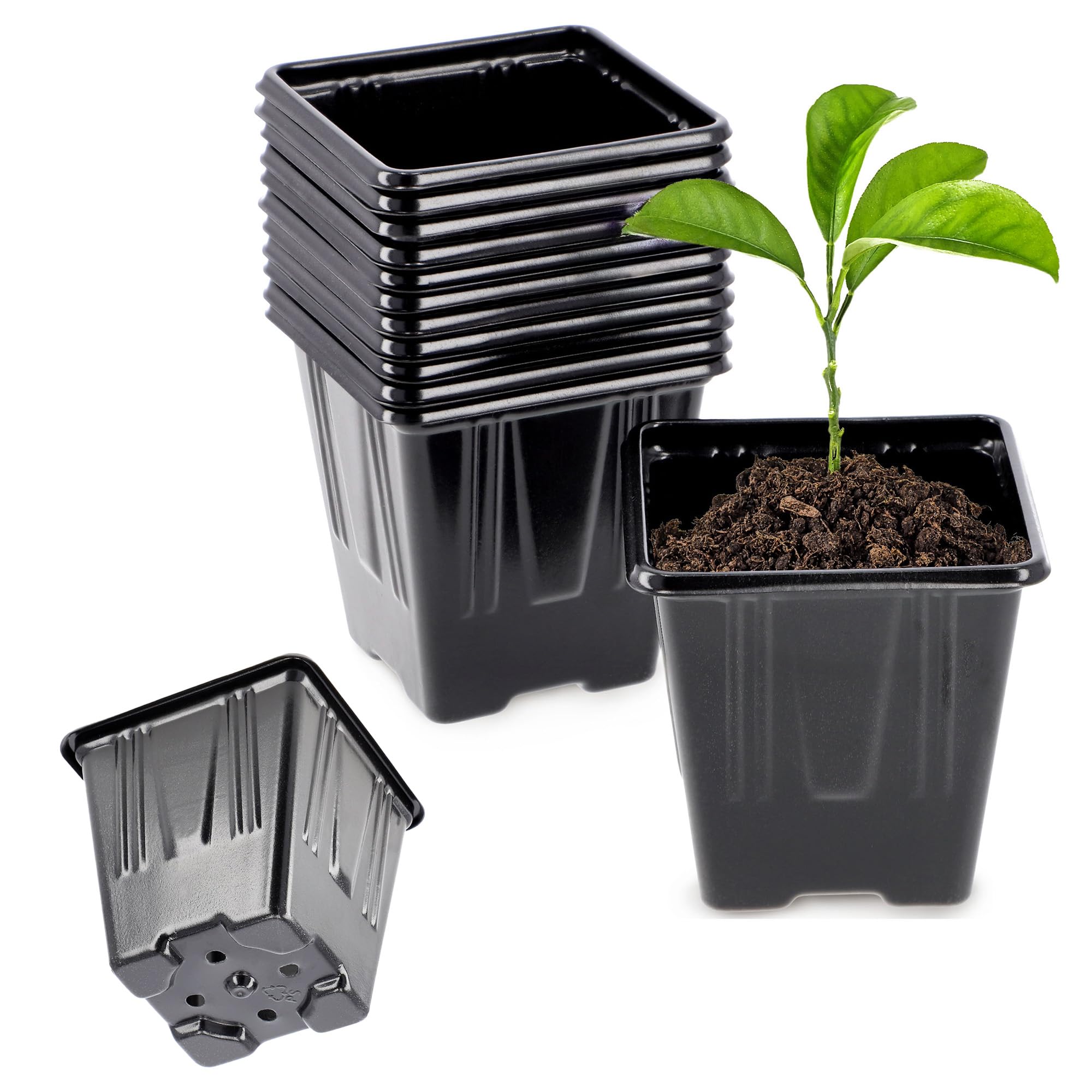 Pots Fleurs Drainage Lot De 50 Pots Carrés Noir CONTROL GARDEN 8x8x7cm - Pots Plastique Pour Semis, Boutures Et Plantes D'Intérieur/Extérieur Pots Plantes