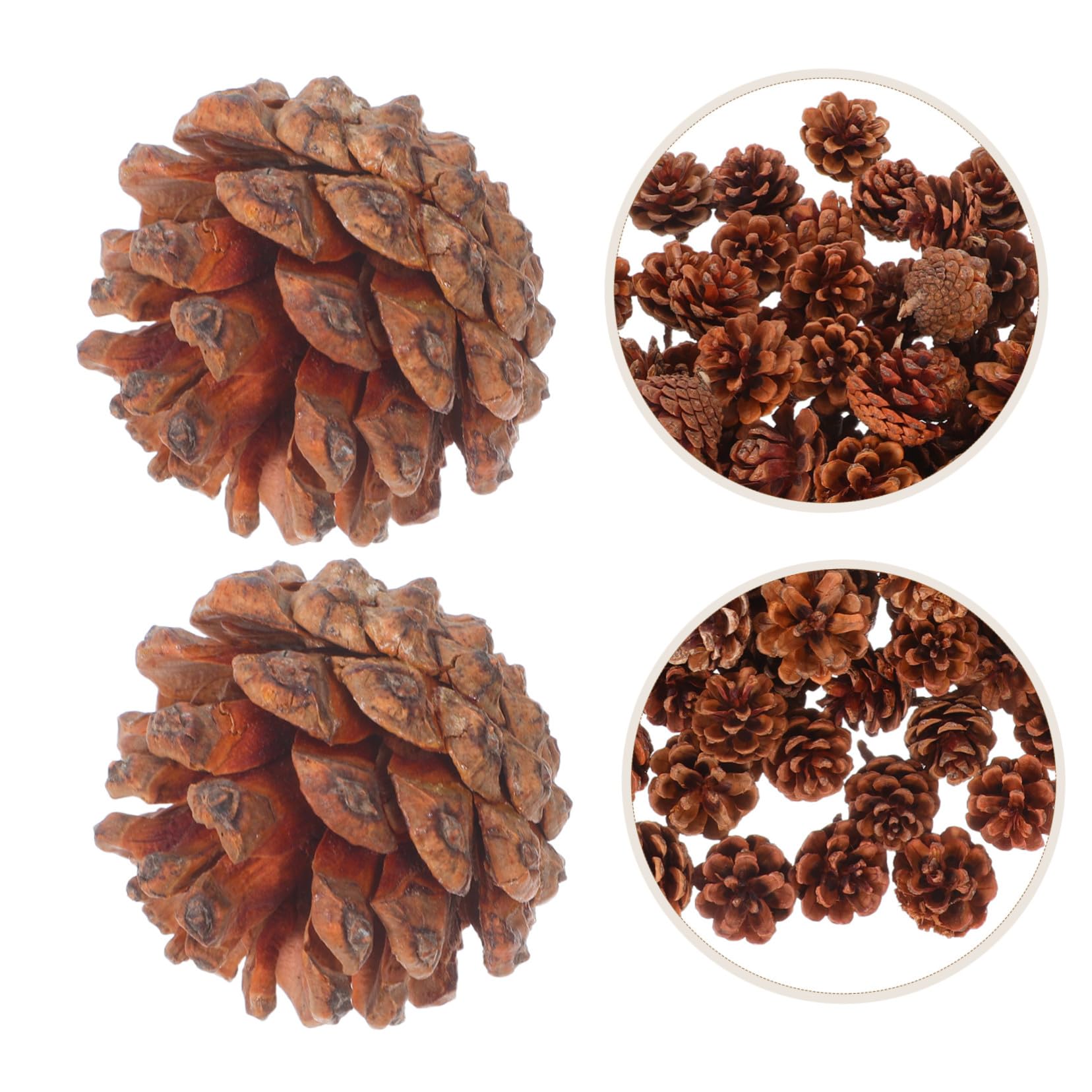 130 Mini Piñas de Pino Reales para Adornos Navideños y Decoraciones de Invierno, Fáciles de Almacenar, Ideales para Manualidades y Relleno de Jarrones