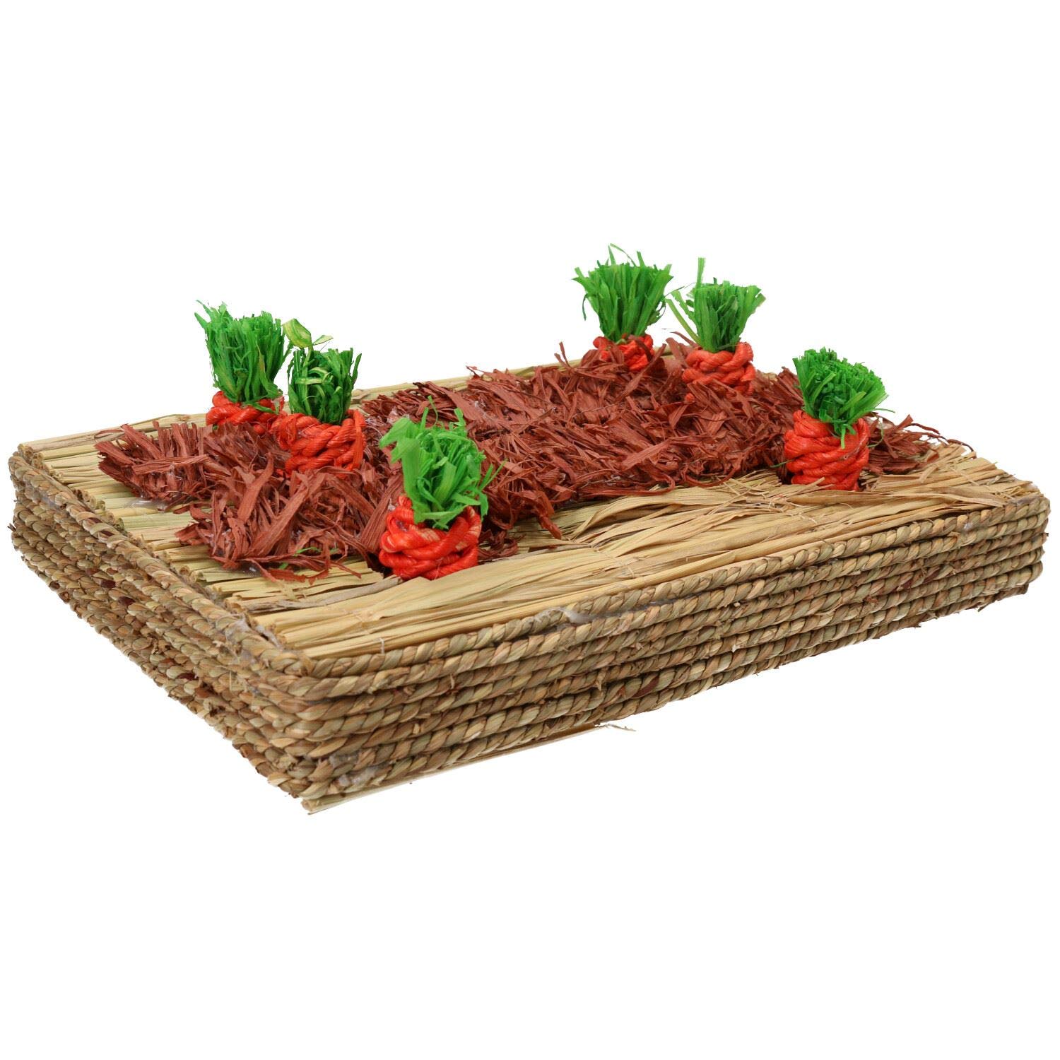 Rosewood Small Animals Rabbit, Guinea Pigs Activity Toys Carrot Play Patch 17x26cm