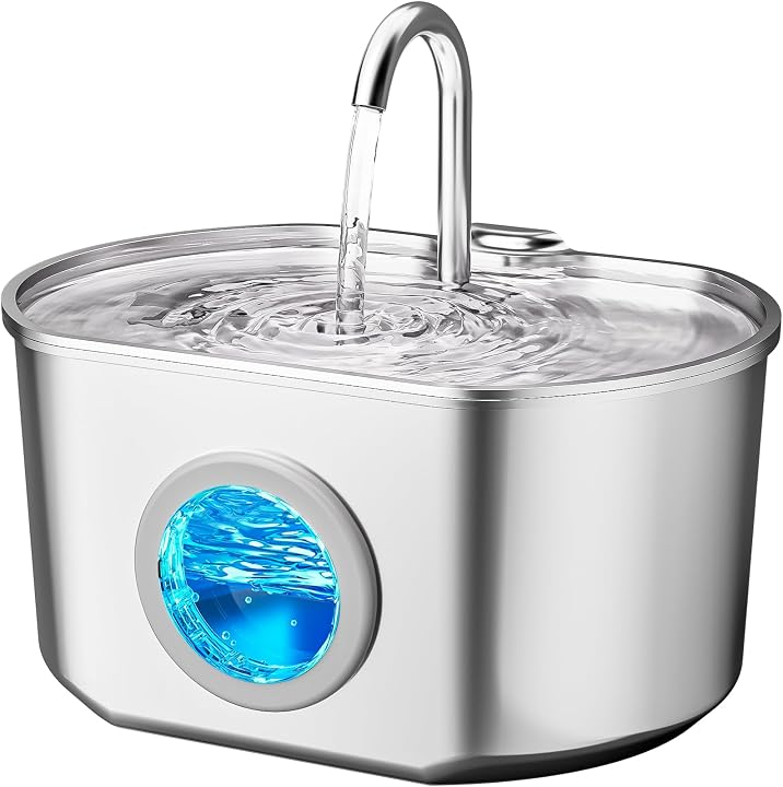 Transparent editorial object representing Lifestyle