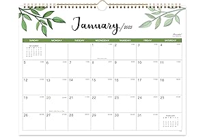 Wall Calendar 2024-25 - 24 Months Wall Calendar