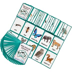 Amazon.co.jp: フラッシュカード - 知育・学習玩具: おもちゃ