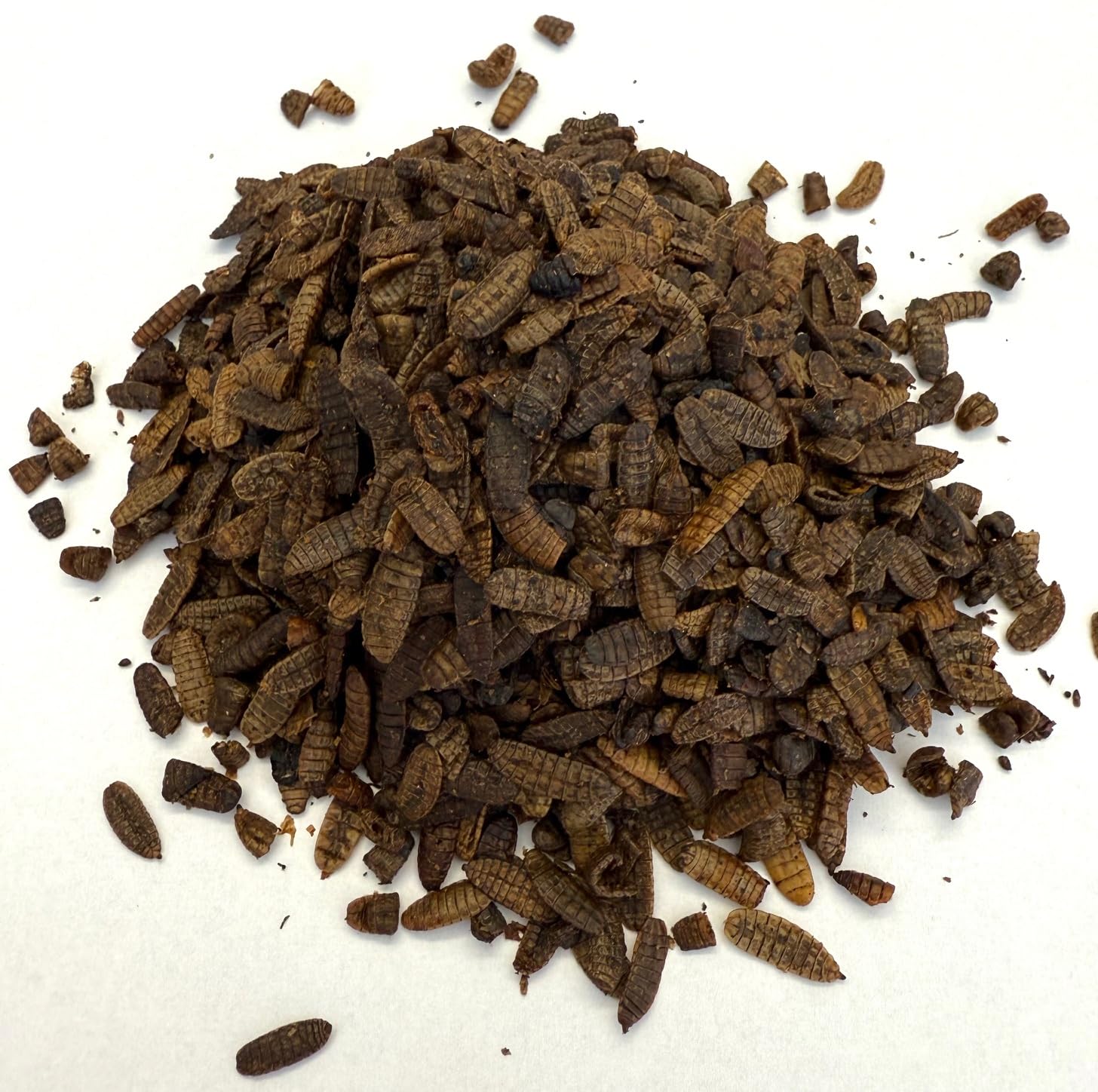 Illucens Naturprodukt: Soldatenfliegenlarven getrocknet, 10kg Black Soldier Fly, Vogelfutter, Fischfutter, Schildkrötenfutter, Igelfutter (Insekten)