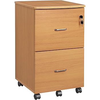 VASAGLE Aktenschrank mit 2 Schubladen, mobiler Büroschrank mit Rädern