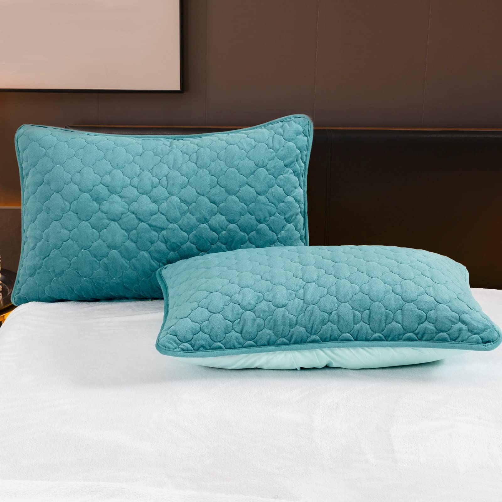 Flannel Pillowcases Queen Size, 2 Pack Soft Velevt Pillow Shams Covers with Envelope Closure, Luxury Cozy Decorative Pillow Cases, 20