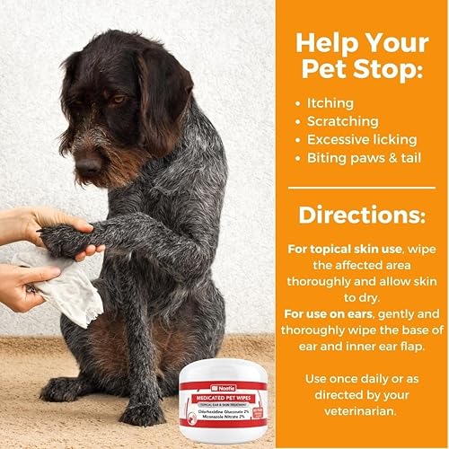 Miniatura 5 de Nootie Toallitas medicinales para perros, 2% clorhexidina y 2% miconazol formuladas para perros y gatos, toallitas de tamaño XL de 5 x 6 pulgadas,