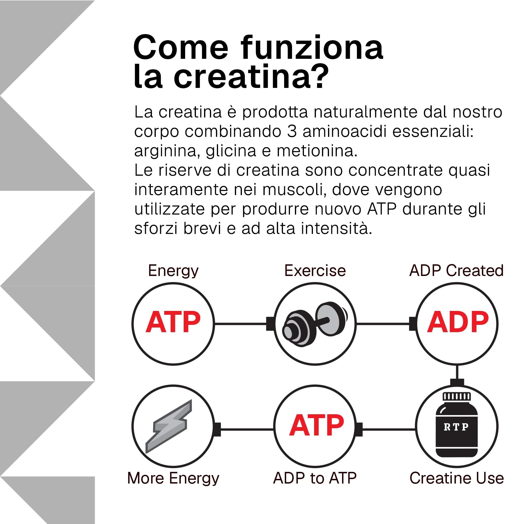 Creatina Monoidrata Compresse RTP – da 3000 mg Creatine Monohydrate – Creatina Pura in Pastiglie – Integratore per Sport, Palestra e Post Workout – 500 Compresse Senza Glutine, Senza Lattosio