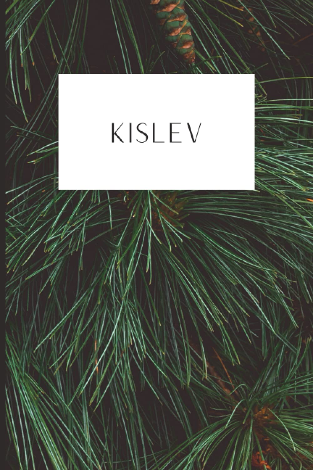 Hebrew Month Prayer Journal: Kislev: Paperback, 120 Pages (Hebrew Month Prayer Journal: Spiritual Growth Series (Set of 12 Journals))