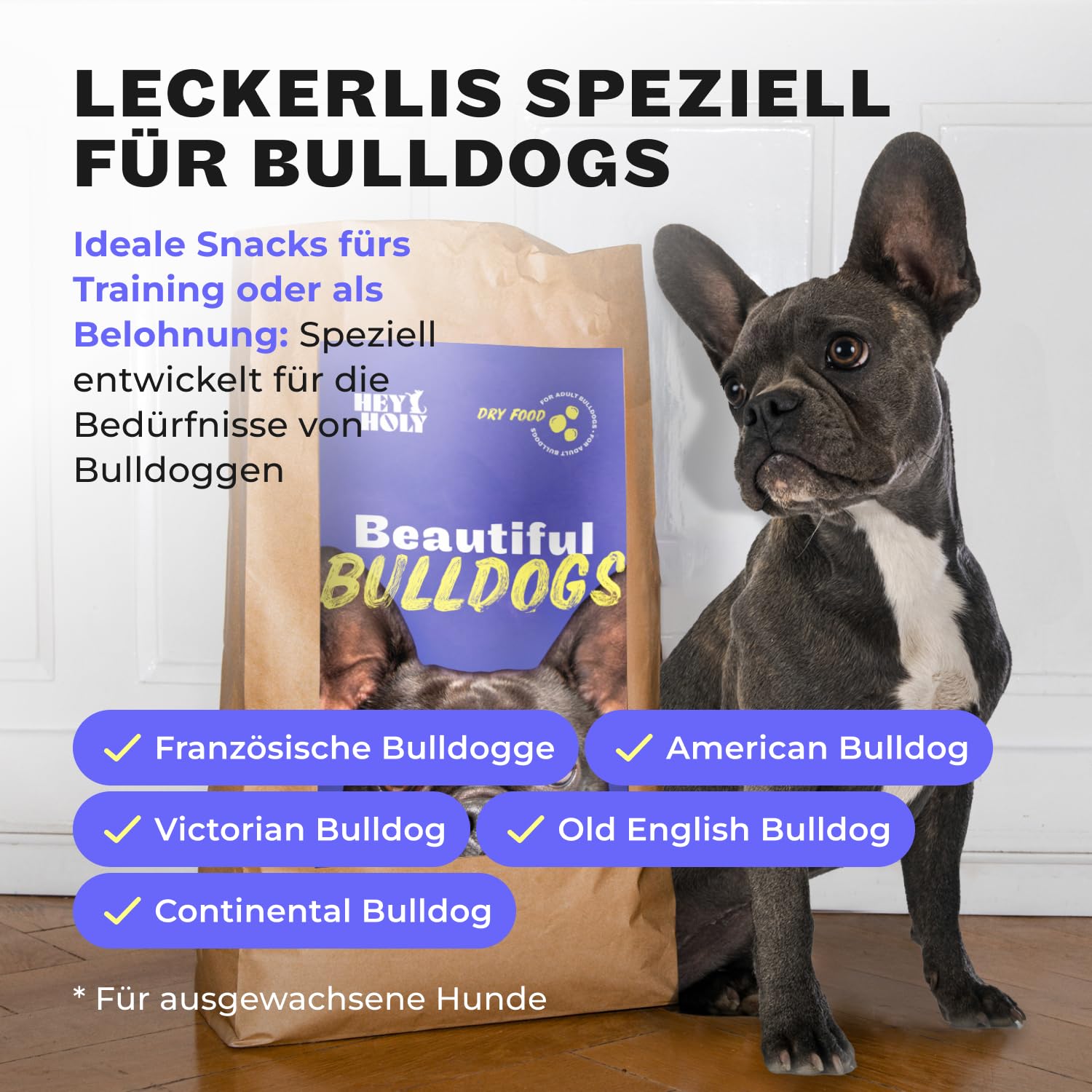 HEY HOLY Premium Hundeleckerlis für Bulldogen 100% getreidefrei | Hunde Snacks | 6 x 200 g Leckerli für ausgewachsene Bulldogen mit Lachs | Hochverträglich aus natürlichen Zutaten