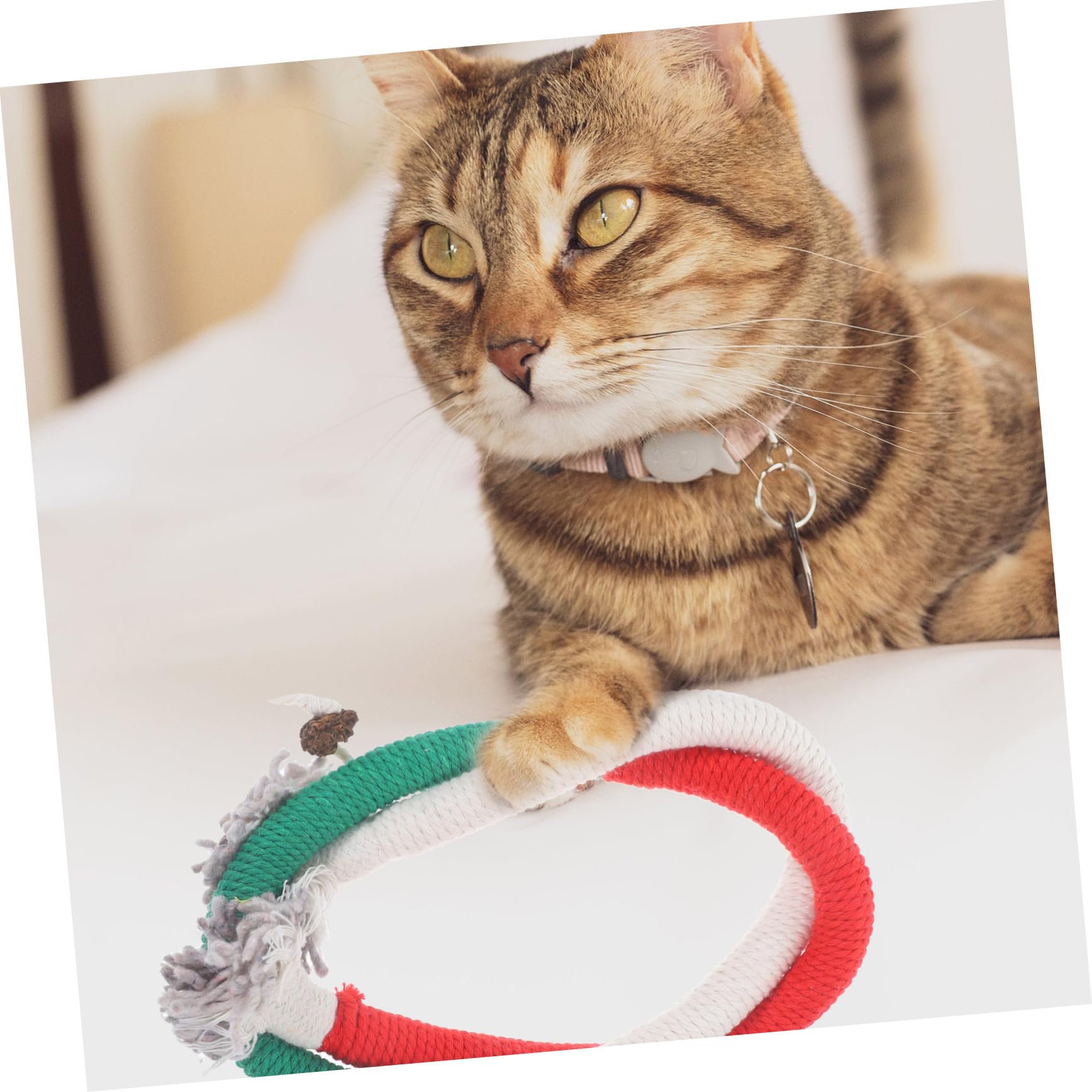 Yardwe 12piezas Juguetes para Gatos Hierba Juguetes Interactivos De Cuerda Coloridos para Masticar y para Gatos Interiores