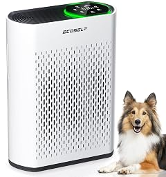 Powerful Air Purifiers for Home Large Room Up to 2400 Ft ECOSELF HEPA Air Purifier with PM 2