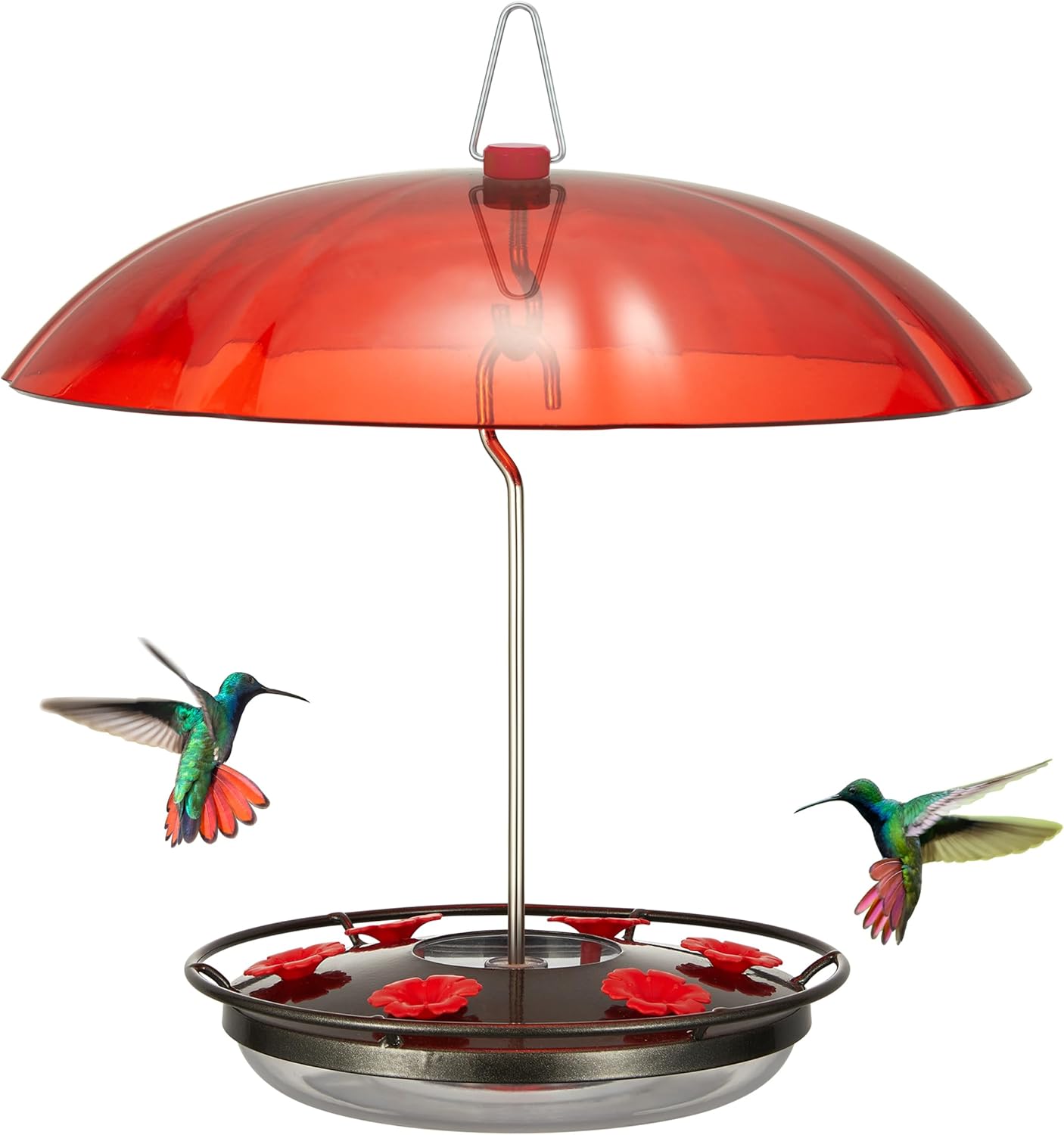 Amazon.com : Kingsyard Weatherproof Hummingbird Feeder for Outdoors ...