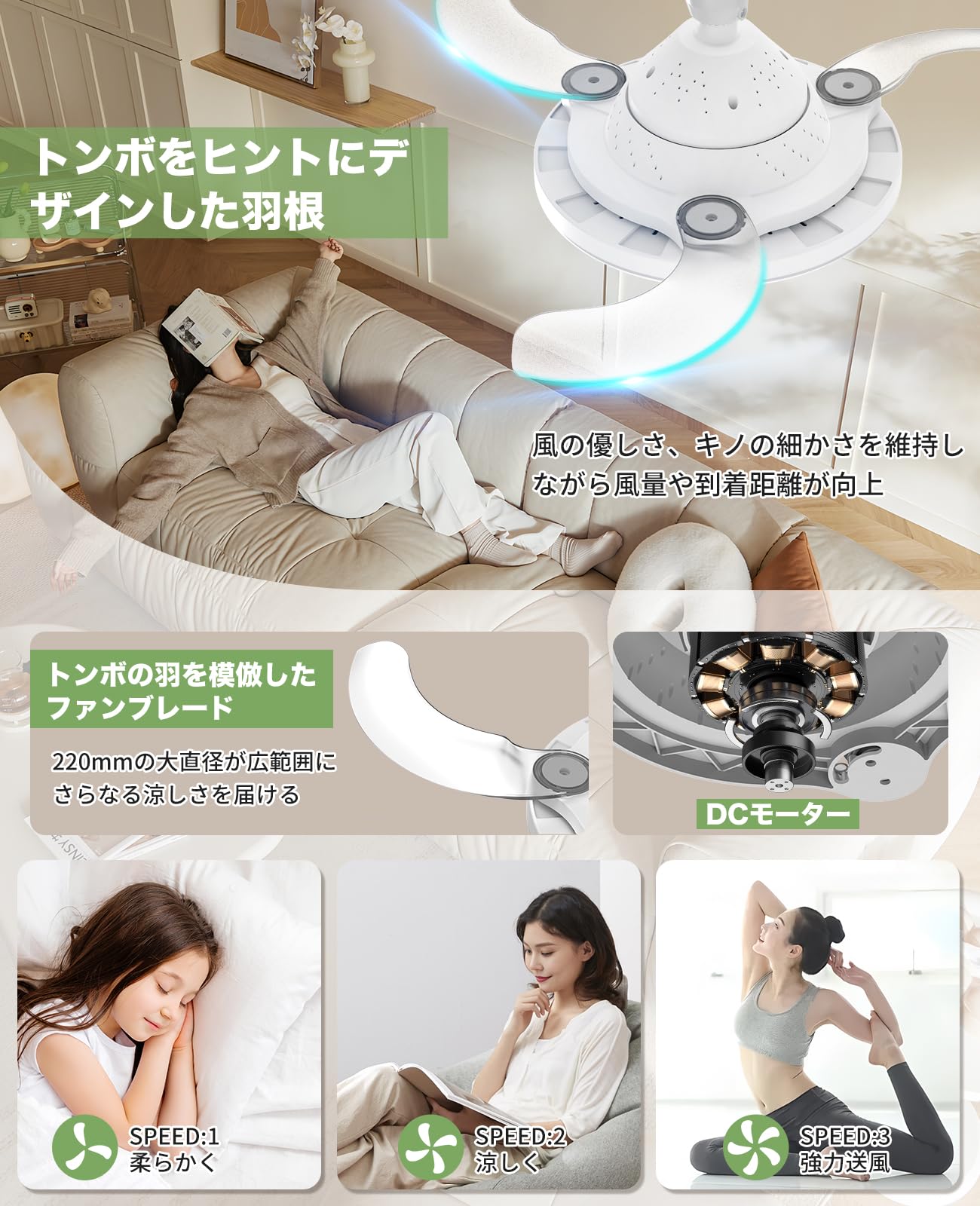 Amazon.co.jp : 【隱れ羽根設計】TENKOO&YOU シーリングファン