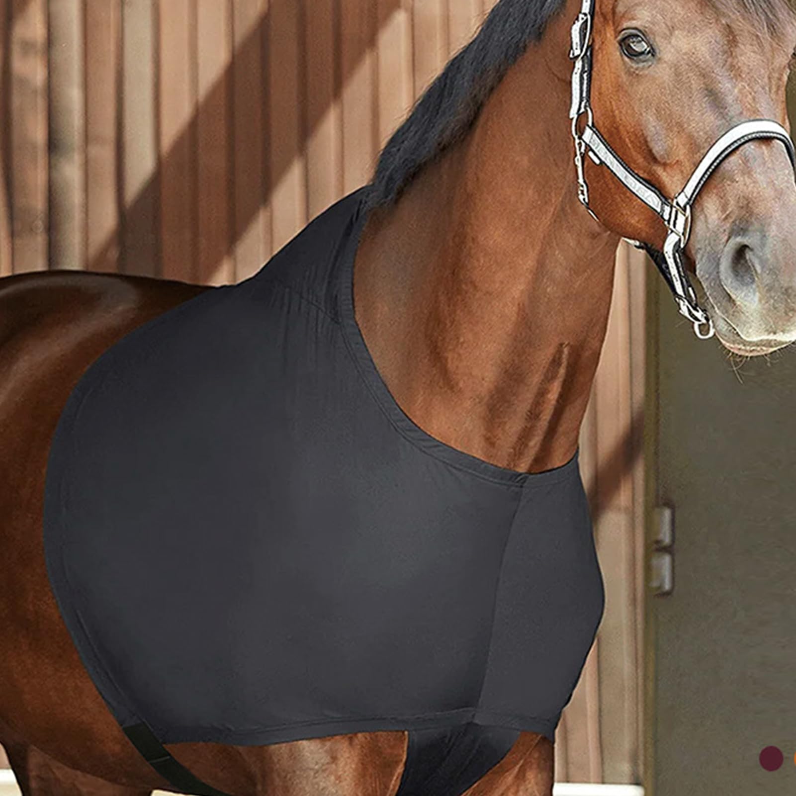Générique Bavoir Horse Sleezy – Anti-frottement En Spandex, Confort Et Protection Pour Cheval