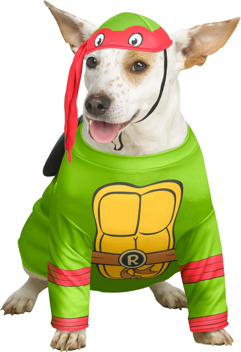 InSpirit Designs Pet Costume