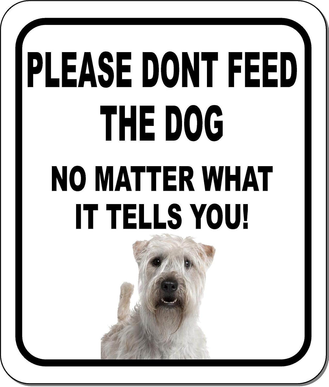 PLEASE DONT FEED THE DOG NO MATTER WHAT Soft Coated Wheaten Terrier Aluminum Composite Outdoor Sign 15" x18"