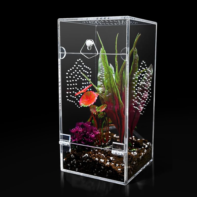 Gaiola para Aranhas Saltadoras em Acrílico com Porta Frontal e Ventilação KERRLOTTE 10,16 x 10,16 x 20,32 cm