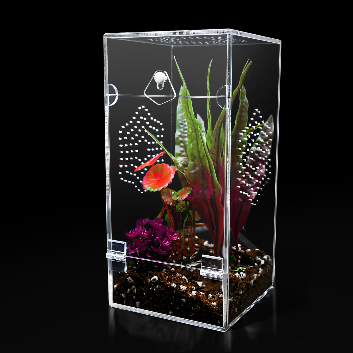 Acrylic Jumping Spider Enclosure Secure Front Opening Door 4x4x8