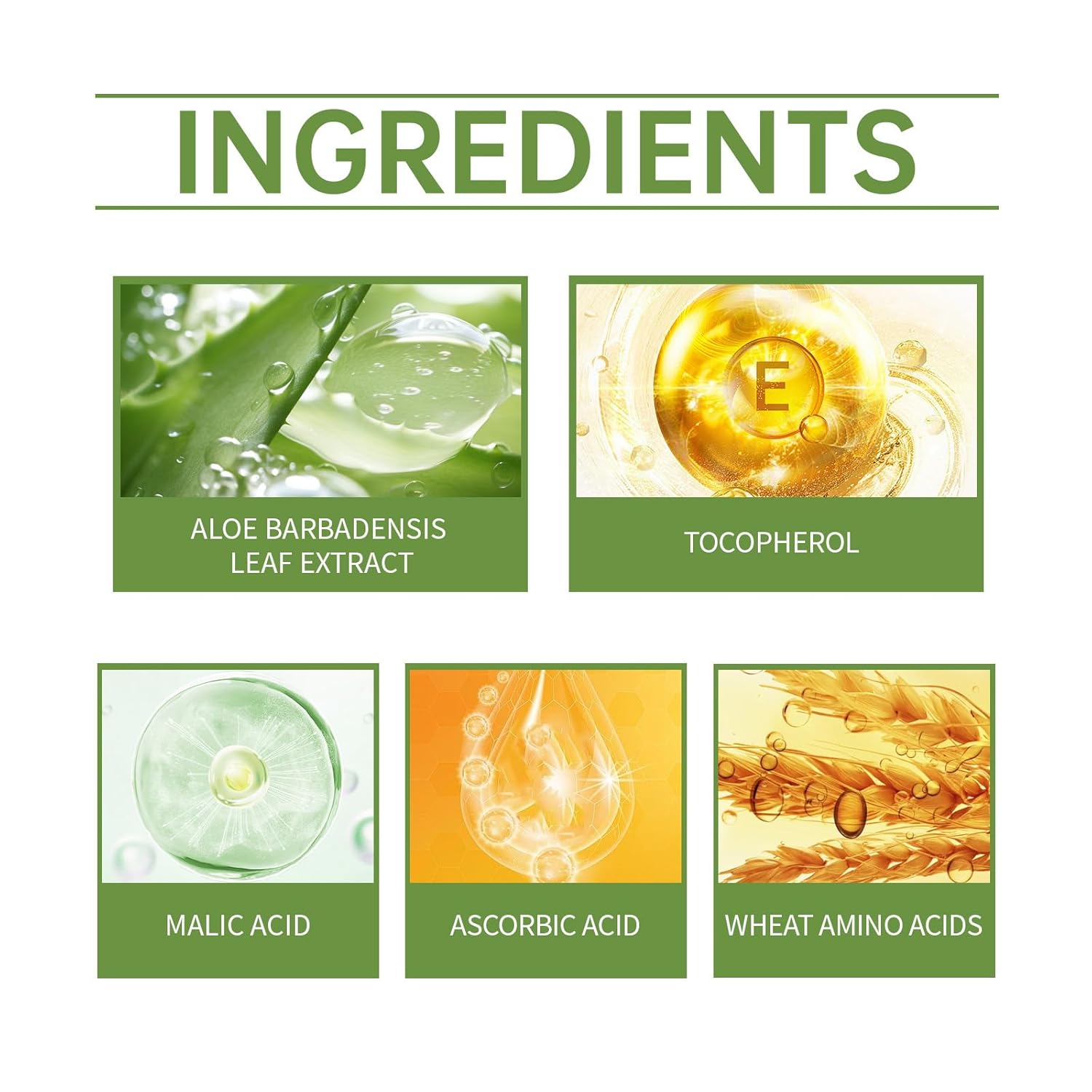 Aloe Vera Exfoliating Gel,Facial Exfoliator Cleanser for Face & Body,Exfoliating Gel Scrub with Aloe Vera Herbal Extract Cleanses the Skin,Hydrate and Moisturize,Suitable for All Skin Types,3.53 Fl Oz - Image 2