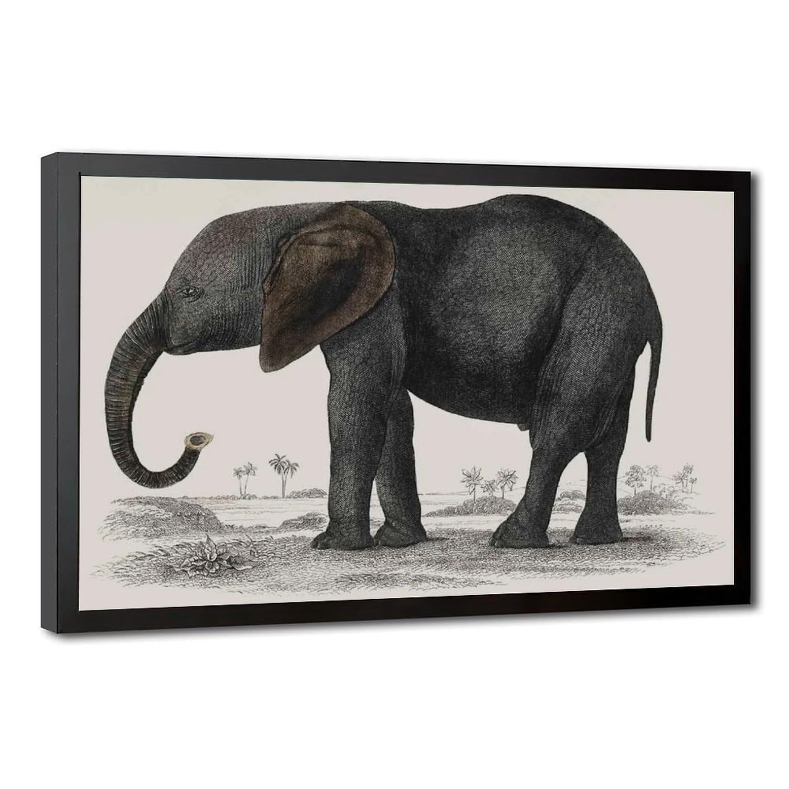 Bareronor Abstract Elephant Poster Canvas Poster Bedroom Decor Landscape Office Room Decor Gift 24" L X 36" W