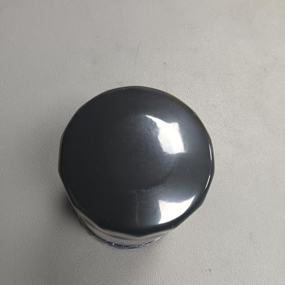 oil filter MZ690115