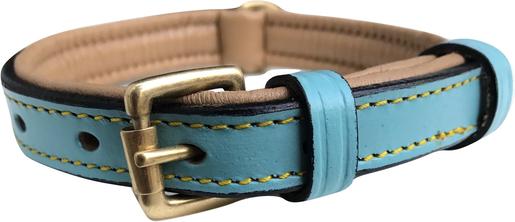 Soft Touch Collars Small Leather Padded Dog Collar, Turquoise with Beige Padding,16" Long x 5/8" Wide, Neck Size 11" to 13.5"