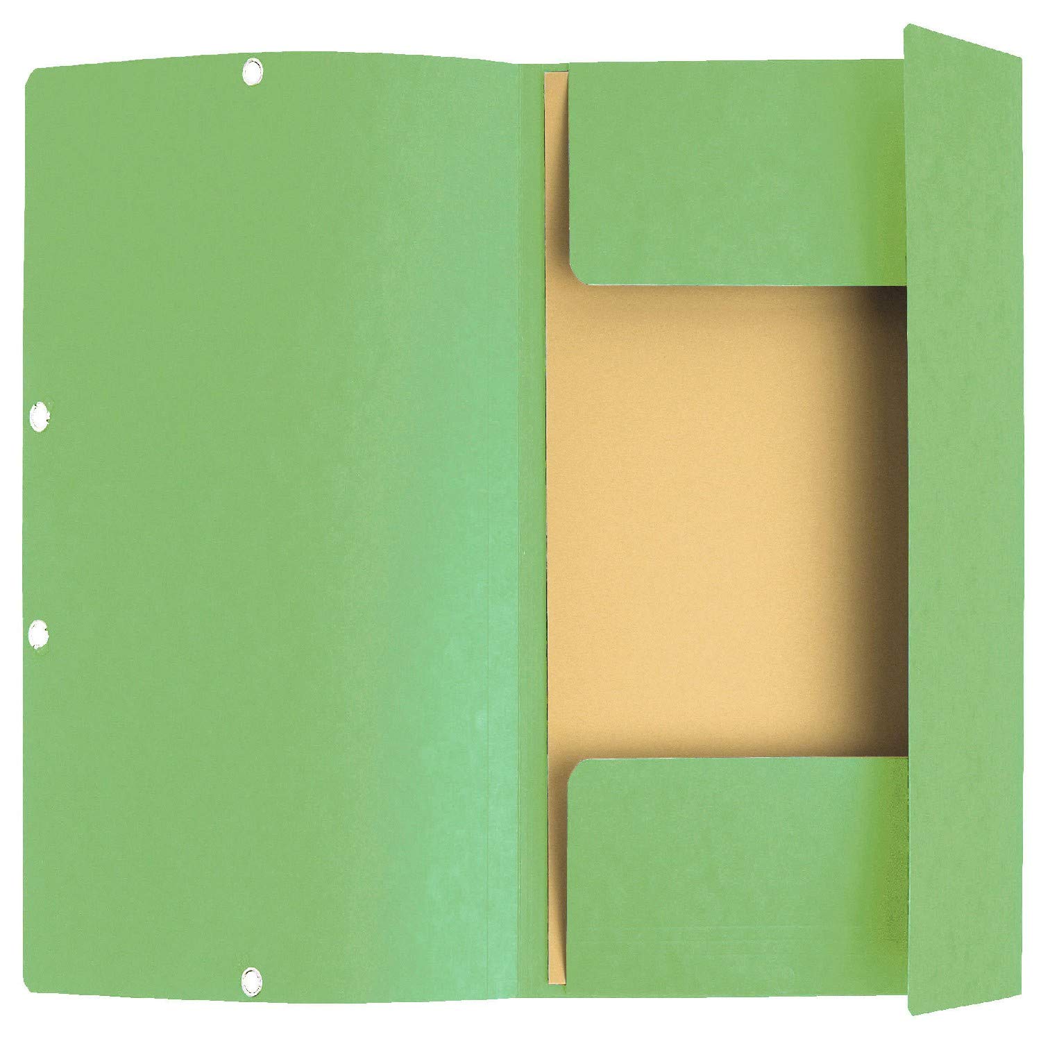 Exacompta 55513E 25er Pack Premium Einschlagmappe. Made in Germany. Aus extra starkem Colorspan-Karton mit 3 Innenklappen und 2 Gummizügen DIN A4 Sammelmappe für Büro und Schule Lindgrün